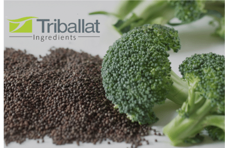 Brocoli sulforaphane prostaphane